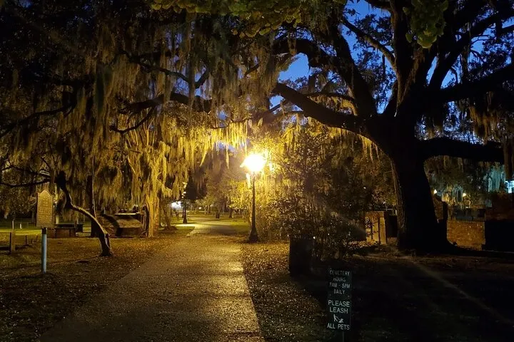 Live oaks and a lamp-lit path at night on a candlelit ghost tour in Savannah GA